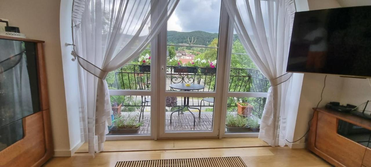 Apartament W Centrum Premium Ustrzyki Dolne Dış mekan fotoğraf